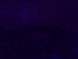 Molly-22
