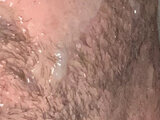 krummer_schwanz