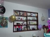stephania_t