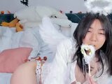 suzienox