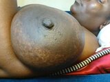 titi-fiesta