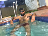 michaell_bear