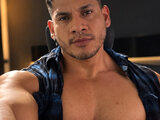DominicVeins