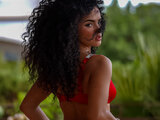 Cerrysta
